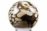 Polished Petrified Peanut Wood Sphere - Australia #341918-1